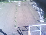 0513101303.jpg