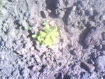 0513101302.jpg