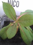 2011-05-13_10-40-30_865.jpg