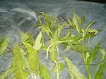 P1120140.JPG