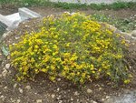 DSCN0840.JPG