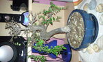 Photo0119.jpg