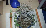Photo0120.jpg