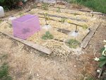 Le potager 3