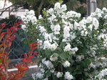 DSCN2274.JPG