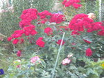 DSCN2275.JPG