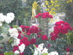 DSCN2278.JPG