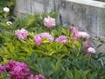 DSCN2279.JPG