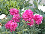 DSCN2280.JPG
