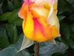 DSCN2281.JPG