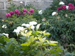 DSCN2284.JPG
