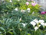 DSCN2285.JPG