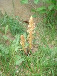 DSC05892.JPG