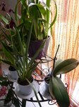 IP1050084.JPG