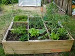 2011-05-14 potager X.jpg