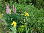 2011-05-14 Bg fond X.jpg