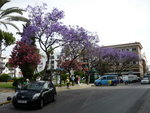 P1050239.JPG