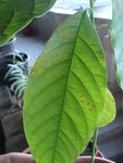 DSC04615.JPG