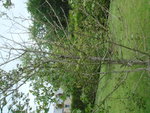 DSC03511.JPG