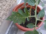 17052011935.jpg