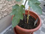 17052011936.jpg