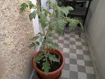 17052011937.jpg