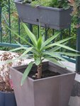 IMG_1867little.jpg