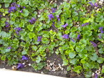 DSCN0507.JPG