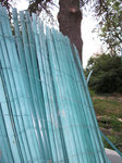 DSCF1154.jpg