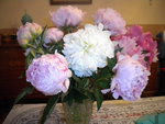 DSCN2287.JPG