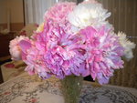 DSCN2288.JPG