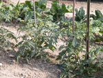 DSCN2291.JPG