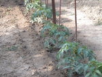 DSCN2293.JPG