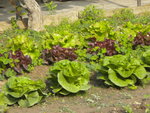 DSCN2294.JPG