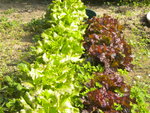DSCN2296.JPG