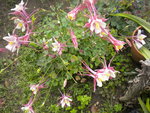 DSCN2298.JPG