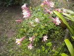 DSCN2299.JPG