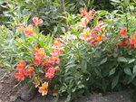 DSCN2300.JPG
