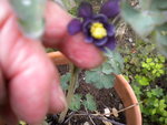 DSCN2304.JPG
