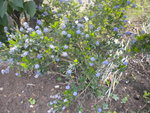 DSCN2305.JPG
