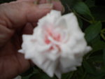 DSCN2306.JPG