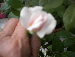 DSCN2307.JPG