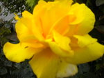 DSCN2308.JPG