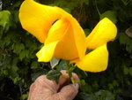 DSCN2309.JPG