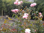 DSCN2310.JPG