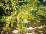 DSC01273.JPG