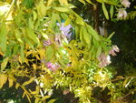 DSC01271.JPG