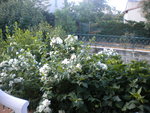 DSCN2316.JPG