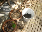DSC01272.JPG