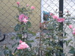 DSCN2317.JPG
